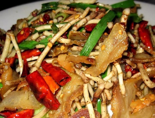 蒲公英|这6种长在地里的“天然青霉素”,隔三差五吃一回,常吃少生病