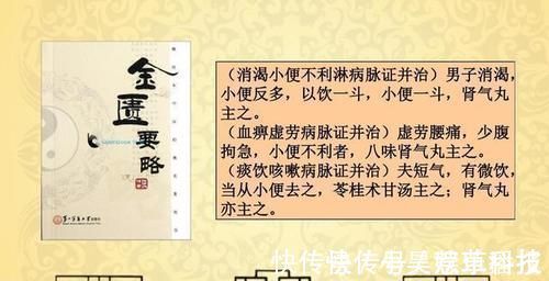 桂枝|桂附地黄丸和金匮肾气丸各自的功效有什么不同?