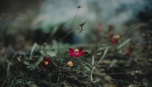 人生@心烦的时候,记住这3句话,让你受用一生