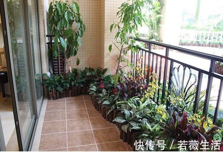 晾衣架|老婆无意间发现一户人家阳台,太高级了,先拍照等有了房照着装