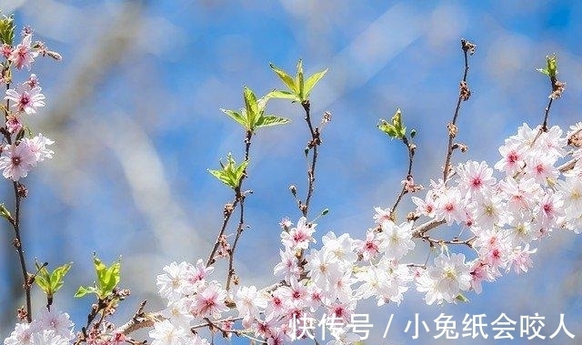 求饶|7月，旧爱求和，真情相守，3星座选择原谅，余生幸福牵手