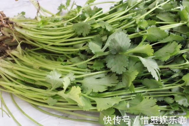 烘干机|原来保存香菜这么简单,老农教您2个土方法,放久不坏,不怕多买