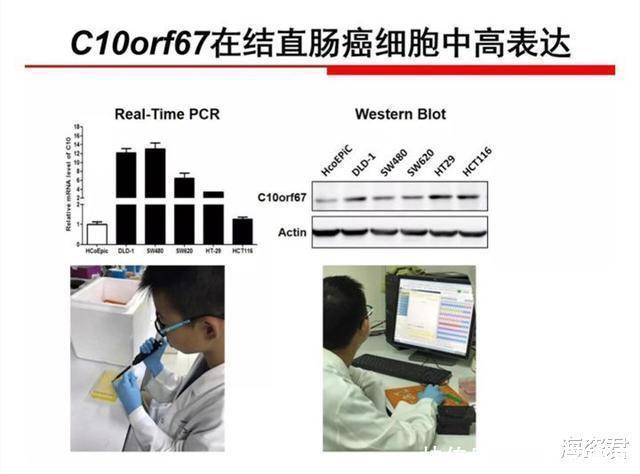 研究成果|“小学生学术造假”揭露学术界造假乱象，专家：他的成果博士要2年