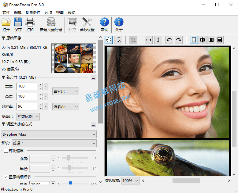 PhotoZoom Pro v8.2.0 图片无损放大软件去授权便携版-阿呆狗