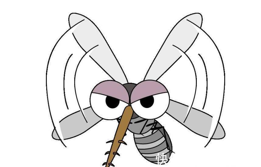 捕蚊|宝宝被蚊子叮咬后,第一步不是帮娃止痒,很多家长都做错了