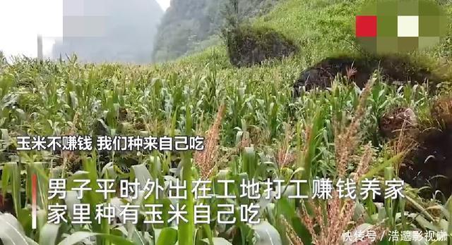 90后夫妻深居山林,将迎来第10个孩子,丈夫生这么多责任在老婆