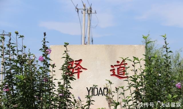 五言诗|一首题为《谎言》的五言诗,写出掖县老父亲的抗战往事