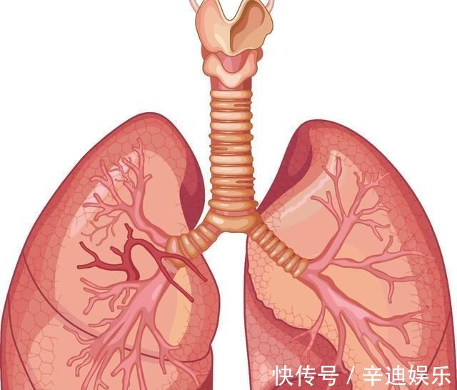 锻炼|每天坚持深蹲有什么好处做到了,不出两个星期,免疫力慢慢变好
