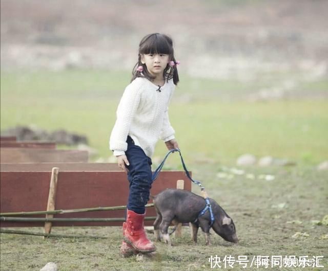 《爸爸去哪儿》越来越没看头，是观众要求变高还是节目变得没诚意