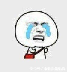 史莱克学院|你没有看斗罗大陆？我来跟你说这个故事