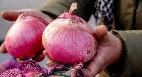 买洋葱时,选“紫色”还是“白色”好?很多人不知道,涨知识了