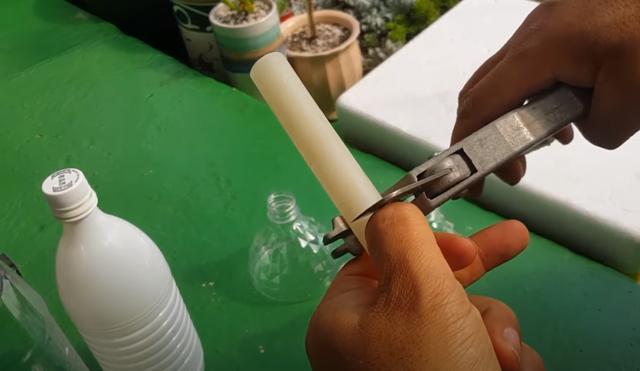 攒了1个月的塑料瓶，瓶口朝下一个扣一个，用来扦插多肉，生根快