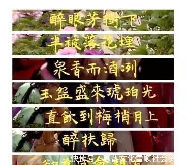 字幕|那一年他才20岁,却包揽了87版《红楼梦》所有手写字幕,绝对震撼