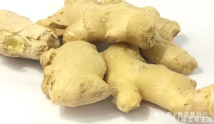 滋阴|女性要排毒,多吃四种食物,滋阴补肾,有助睡眠,甩掉小肚腩