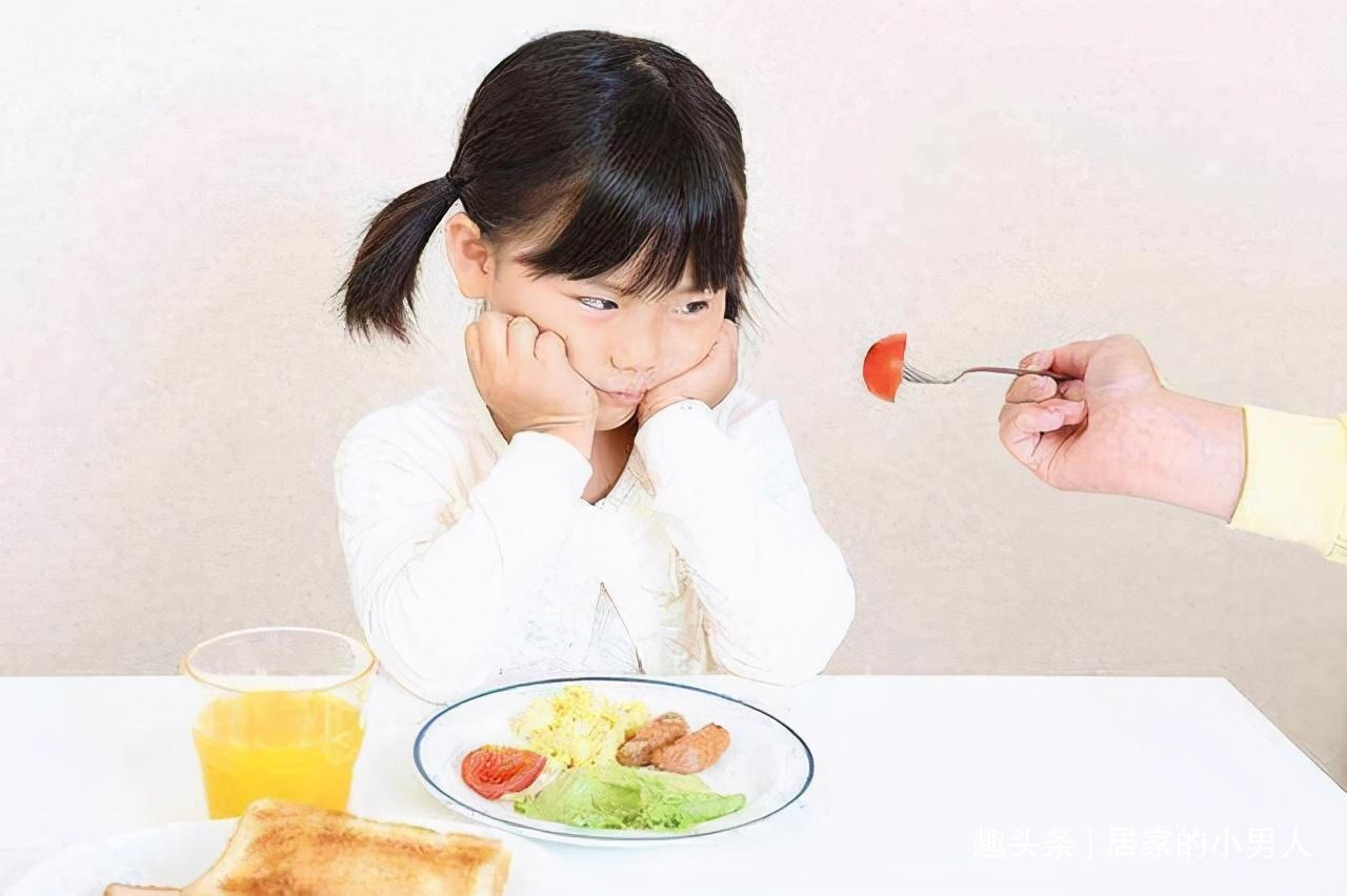 一周岁以上宝宝如何正确、科学地给孩子添加辅食