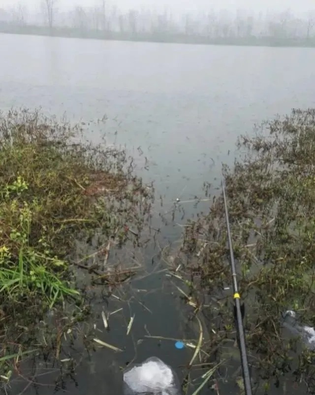 入冬后钓鱼要钓深,钓底?很多时候不仅要钓“浅”还要钓“浮”