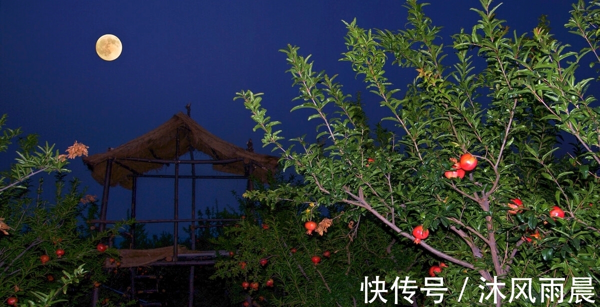 诗词|两首醉酒诗词,一首洒脱飘逸,一首豪放不羁,你更喜欢哪一首