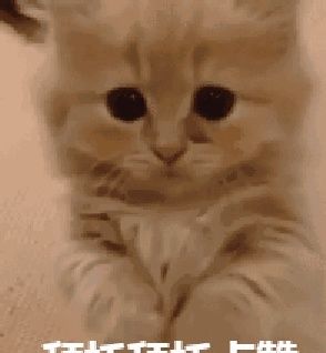 妈妈不在家，爸爸都是怎样带孩子的？妈妈：键盘准备好了吗？