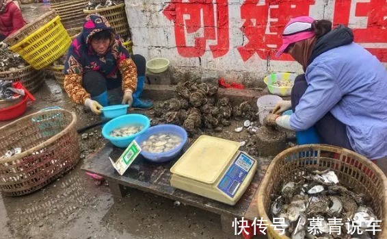 褶皱|洗生蚝肉时，放淀粉只对了一半，加点“它”，脏东西自己跑出来