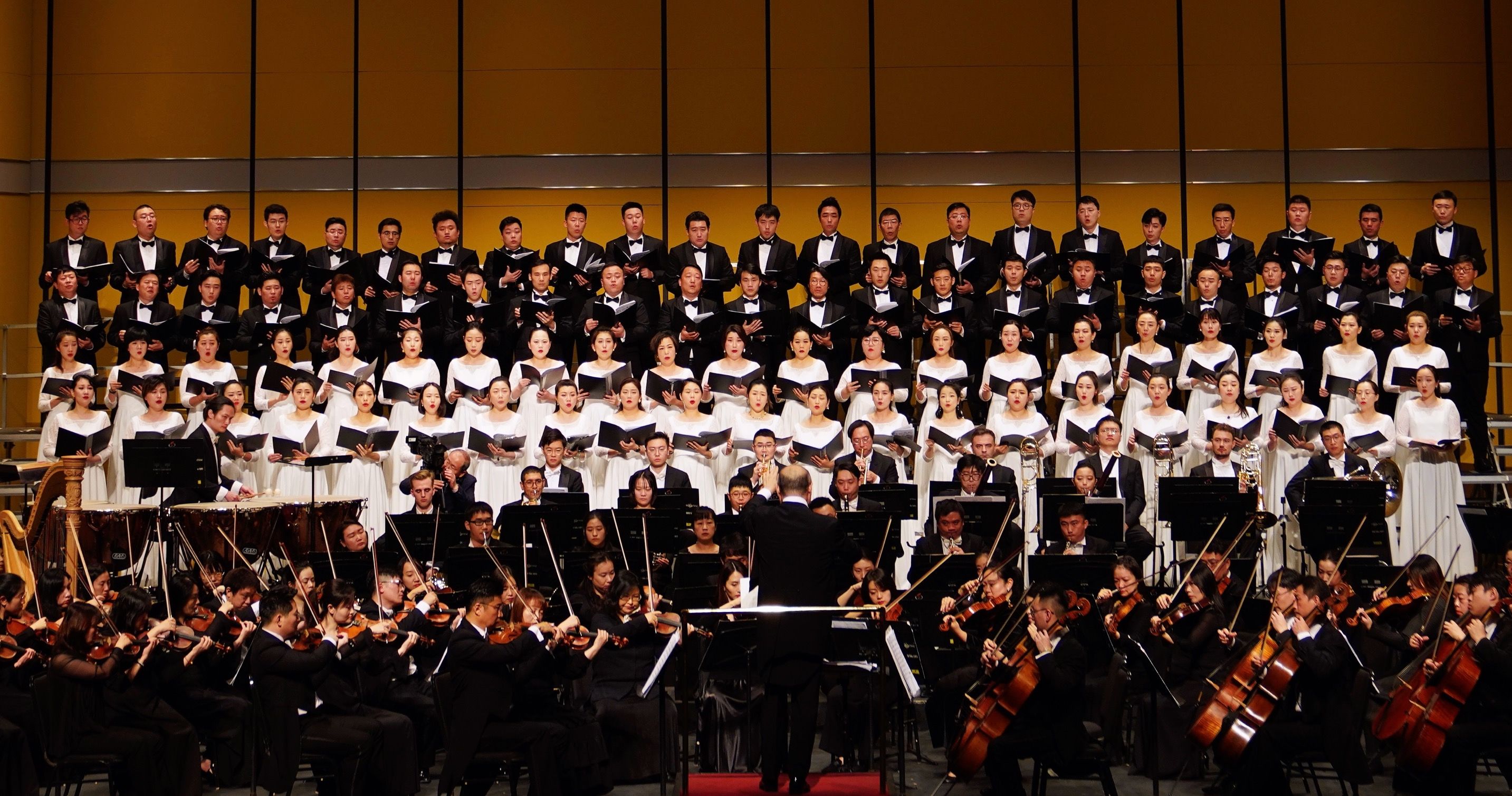 命运之力#许忠执棒，威尔第、瓦格纳“歌剧双雄”作品巅峰相会