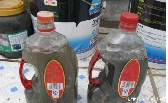 爆花|2种不要的“垃圾”,却是养花的“花肥王”,蟹爪兰吃一点就爆花