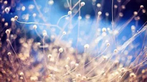  王阳明|王阳明：提高心性，做最好的自己