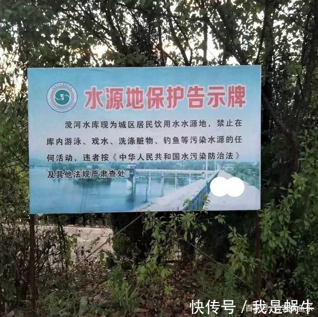 夏天钓鱼找钓点,在这几个地方作钓,别说是钓鱼,就是虾也钓不到