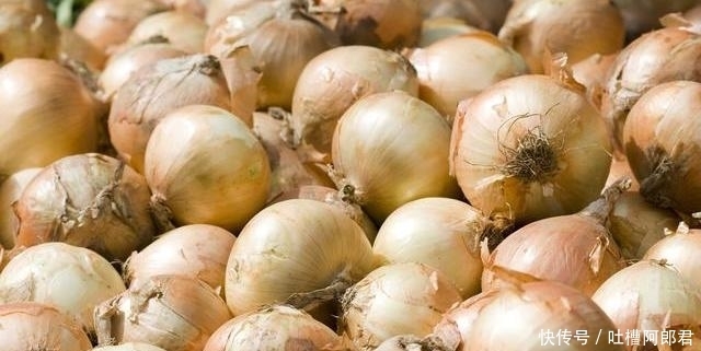 菜农|买洋葱,挑重的还是挑轻的?菜农:记住这3点,保准挑的个个好