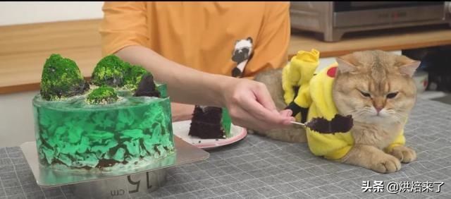 日本|绝了日本小哥做出以假乱真的海岛果冻蛋糕,网友我和猫都惊了