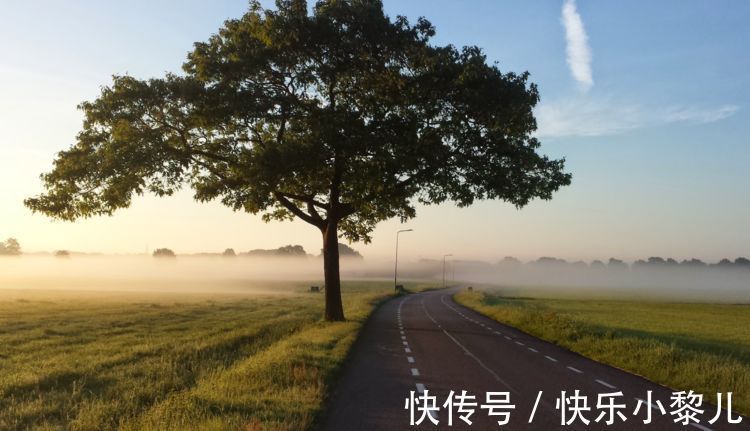 正直感|城府很深,为人却正直的星座,他们喜欢孤独,哪怕生活里没有朋友