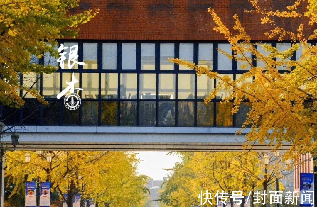 成都信息工程大学|多图警告｜数数川内高校到底承包了多少棵银杏树？