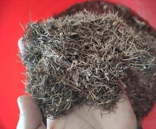 秋天养花不用买土,这种“免费土”,一分钱不花,一挖一麻袋