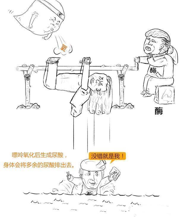 痛风|痛风的“根源”找到了,体内这种盐惹的祸!治疗得用3种药