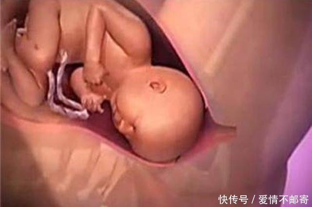 生娃|宝宝那么大,如何从狭小产道出来?了解后方知母爱多伟大!