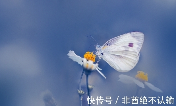 凡夫#知者不言,言者不知,那么在老子眼中什么样的人能称之为“知者”