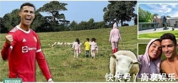 小动物|不到7天,突然逼走C罗!曼联老大“完败”小动物,弃用5300万豪宅