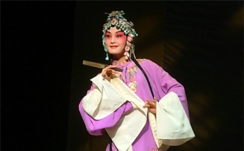 梁辰鱼|她是国家秘密培养9年的人才,却转身进了娱乐圈,原因是什么!