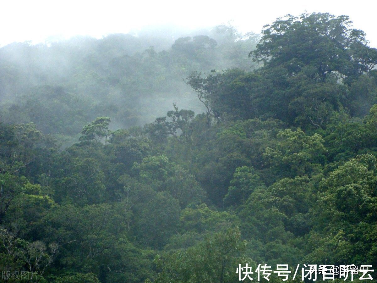 二夹弦|曾经的甘罗山