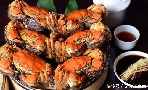 食材|为什么说阳澄湖的蟹,是中国的顶级食材