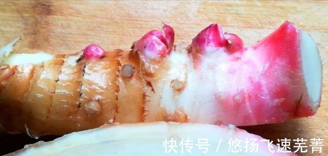 姜科|长得像姜,吃起来像山芋,用于煮肉尤其香,您家乡或许有!