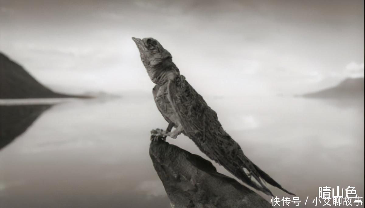 纳特龙湖为什么被称之为“冥河”动物一旦掉入，就会成为化石