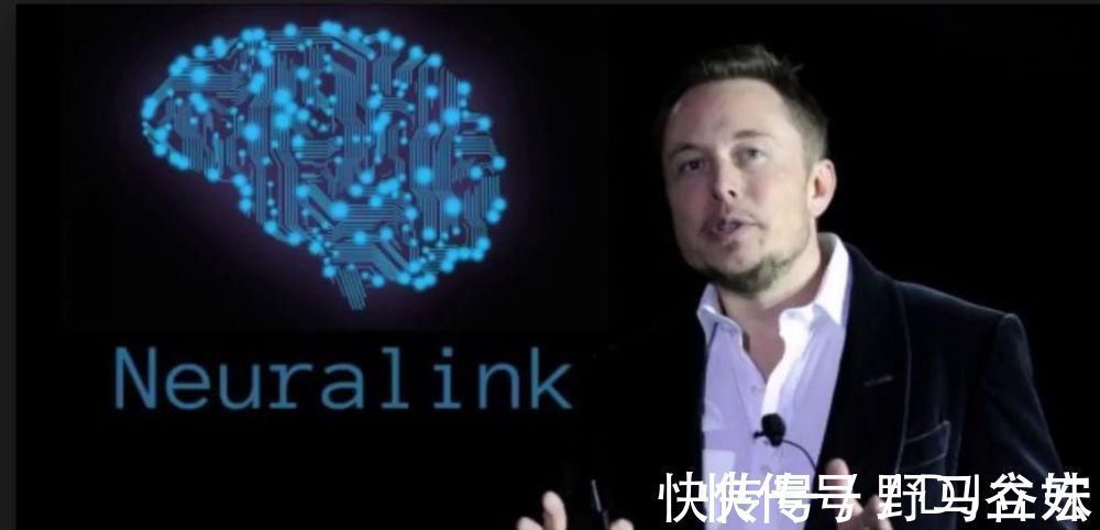 人工智能|马斯克与马云现场对话,狠狠地给马云上了一课!