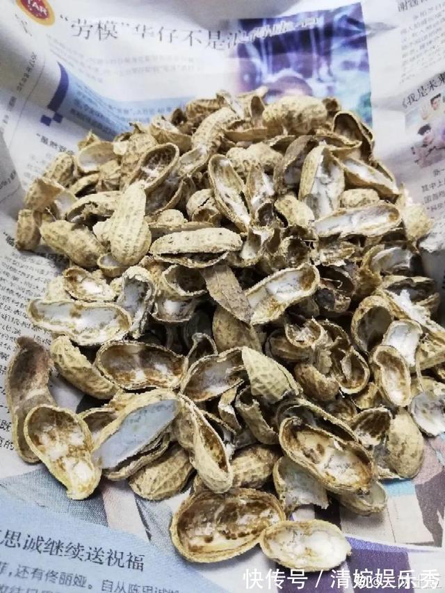 10种“垃圾”不要丢,拿来养花效果好,还能省下一笔钱