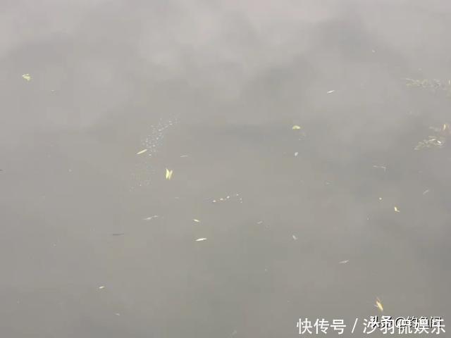 垂钓最爽的5个时刻,正常人难以理解,钓鱼人直呼过瘾