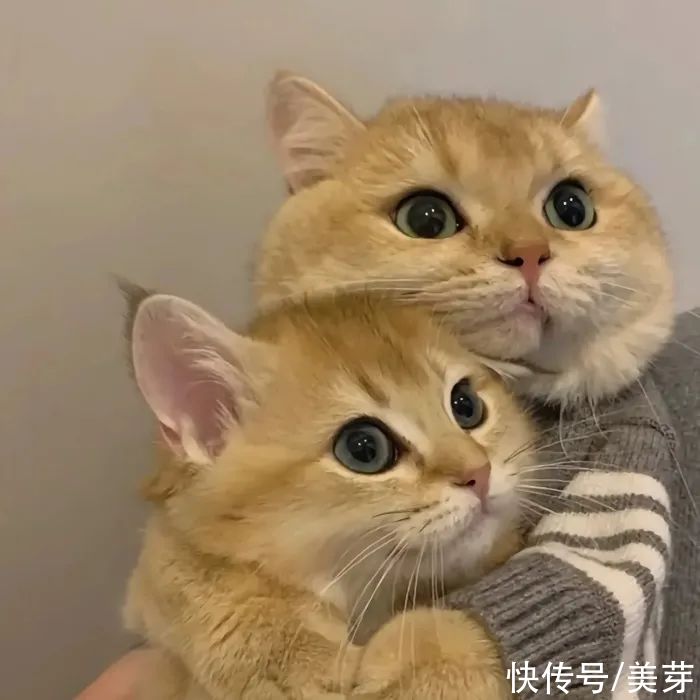 大海|今日头像丨大海和你