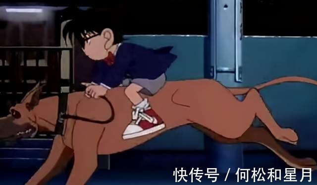 工藤新一|名侦探柯南三亿绑架案,柯南骑狗破案,首次遭到暴打