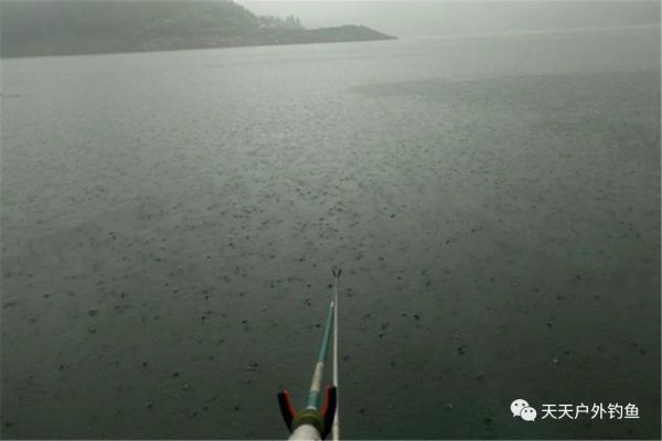 钓位|三伏天野钓，鱼情差而小鱼多，这样选择天气和钓位，小鱼会少很多