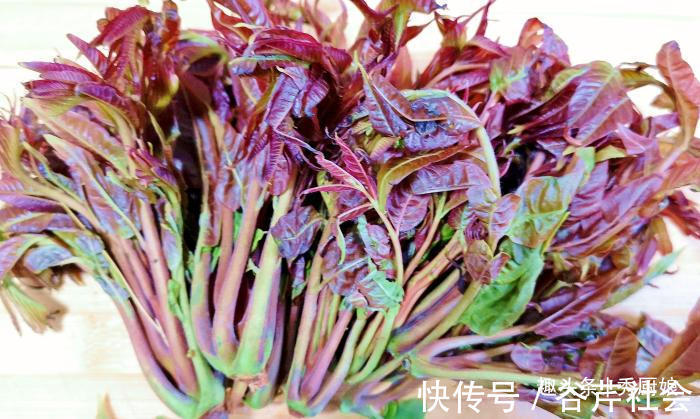 植物蛋白|买香椿，分清“红叶”和“绿叶”，口感差别大，弄懂再买不浪费钱