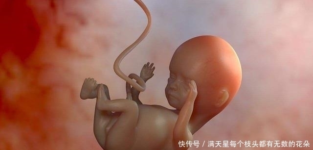 孕妈|怀孕42天发生“胎停”,孕早期这5大禁忌,新手孕妈一定要守住