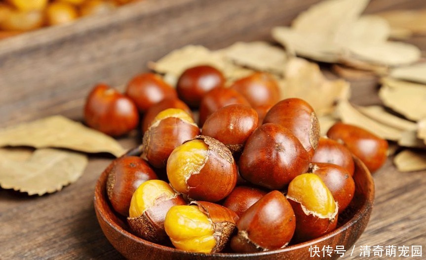  煮板栗，直接水煮是大错！多加1步，个个自动开口，好剥壳不粘皮